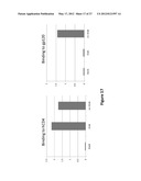 FUSION PROTEINS FOR HIV THERAPY diagram and image