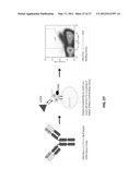 FUSION PROTEINS FOR HIV THERAPY diagram and image