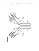 PHARMACEUTICAL ANTIBODY COMPOSITIONS WITH RESISTANCE TO SOLUBLE CEA diagram and image