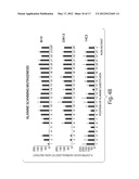 Compositions And Methods For The Therapy And Diagnosis Of Influenza diagram and image