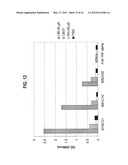 ANTIBODIES THAT IMMUNOSPECIFICALLY BIND TO B LYMPHOCYTE STIMULATOR PROTEIN diagram and image