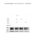 FIBROBLAST GROWTH FACTOR RECEPTOR-1 INHIBITORS AND METHODS OF TREATMENT     THEREOF diagram and image