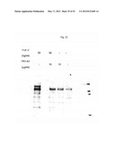 FIBROBLAST GROWTH FACTOR RECEPTOR-1 INHIBITORS AND METHODS OF TREATMENT     THEREOF diagram and image