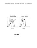 METHOD OF TREATING AUTOIMMUNE DISEASE WITH MESENCHYMAL STEM CELLS diagram and image