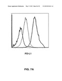 METHOD OF TREATING AUTOIMMUNE DISEASE WITH MESENCHYMAL STEM CELLS diagram and image