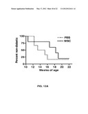 METHOD OF TREATING AUTOIMMUNE DISEASE WITH MESENCHYMAL STEM CELLS diagram and image