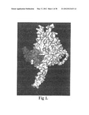 HIV CD4 BINDING SITE BASED COVALENT IMMUNOGEN COMPOSITIONS diagram and image