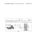 HIV CD4 BINDING SITE BASED COVALENT IMMUNOGEN COMPOSITIONS diagram and image