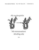 HIV CD4 BINDING SITE BASED COVALENT IMMUNOGEN COMPOSITIONS diagram and image