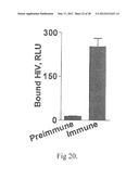 HIV CD4 BINDING SITE BASED COVALENT IMMUNOGEN COMPOSITIONS diagram and image