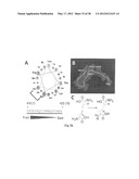 HIV CD4 BINDING SITE BASED COVALENT IMMUNOGEN COMPOSITIONS diagram and image