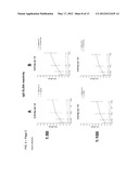 PROTEINS WITH REPETITIVE BACTERIAL-IG-LIKE (BIG) DOMAINS PRESENT IN     LEPTOSPIRA SPECIES diagram and image