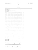 PROTEINS WITH REPETITIVE BACTERIAL-IG-LIKE (BIG) DOMAINS PRESENT IN     LEPTOSPIRA SPECIES diagram and image