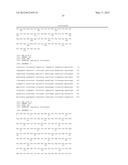 PROTEINS WITH REPETITIVE BACTERIAL-IG-LIKE (BIG) DOMAINS PRESENT IN     LEPTOSPIRA SPECIES diagram and image