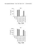 RNA SEQUENCE MOTIFS IN THE CONTEXT OF DEFINED INTERNUCLEOTIDE LINKAGES     INDUCING SPECIFIC IMMUNE MODULATORY PROFILES diagram and image