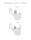 RNA SEQUENCE MOTIFS IN THE CONTEXT OF DEFINED INTERNUCLEOTIDE LINKAGES     INDUCING SPECIFIC IMMUNE MODULATORY PROFILES diagram and image