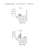 RNA SEQUENCE MOTIFS IN THE CONTEXT OF DEFINED INTERNUCLEOTIDE LINKAGES     INDUCING SPECIFIC IMMUNE MODULATORY PROFILES diagram and image