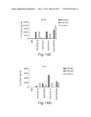 RNA SEQUENCE MOTIFS IN THE CONTEXT OF DEFINED INTERNUCLEOTIDE LINKAGES     INDUCING SPECIFIC IMMUNE MODULATORY PROFILES diagram and image