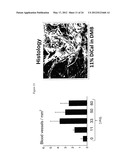 BONE VOID FILLERS diagram and image