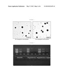 POLYARGININE NANOCAPSULES diagram and image