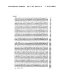 PREVENTATIVE OR THERAPEUTIC AGENT AND METHOD FOR IMMUNE DISEASE diagram and image