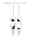 PREVENTATIVE OR THERAPEUTIC AGENT AND METHOD FOR IMMUNE DISEASE diagram and image