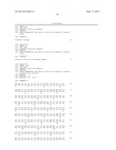 PREVENTATIVE OR THERAPEUTIC AGENT AND METHOD FOR IMMUNE DISEASE diagram and image