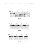 SMALL INTERFERING RNA DELIVERY diagram and image