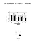 SMALL INTERFERING RNA DELIVERY diagram and image