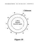 PHARMACEUTICAL COMPOSITION OF PEPTIDE DRUG AND ENZYME-INHIBITION COMPOUNDS diagram and image