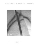 METHODS OF MAKING A REINFORCED COMPOSITE AND REINFORCED COMPOSITE PRODUCTS diagram and image