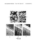 Membrane And Catalyst Composite For Membrane Electrode Assembly diagram and image