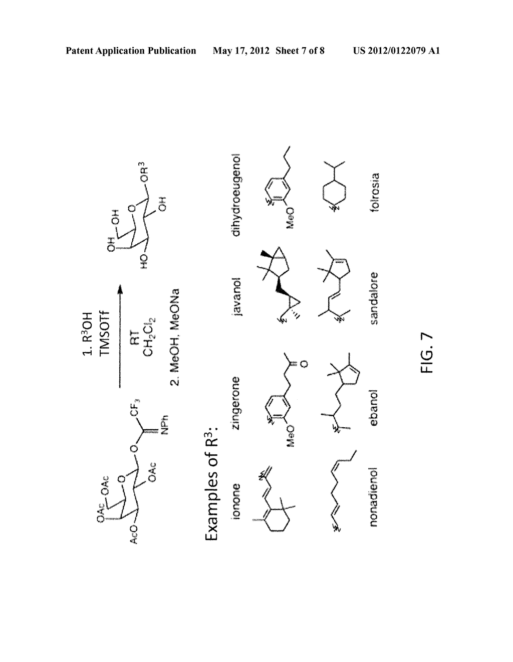 INFECTION DETECTION METHODS AND SYSTEMS AND RELATED COMPOUNDS AND     COMPOSITIONS - diagram, schematic, and image 08