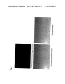 METHOD AND KIT FOR DETECTION OF MICROORGANISM diagram and image