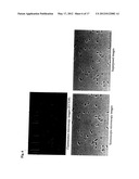 METHOD AND KIT FOR DETECTION OF MICROORGANISM diagram and image