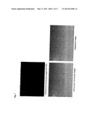 METHOD AND KIT FOR DETECTION OF MICROORGANISM diagram and image