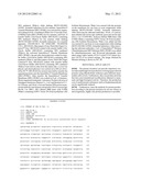 EXPRESSION VECTOR FOR PRODUCING PROTEIN DERIVED FROM FOREIGN GENE IN LARGE     QUANTITY USING ANIMAL CELLS, AND USE THEREOF diagram and image