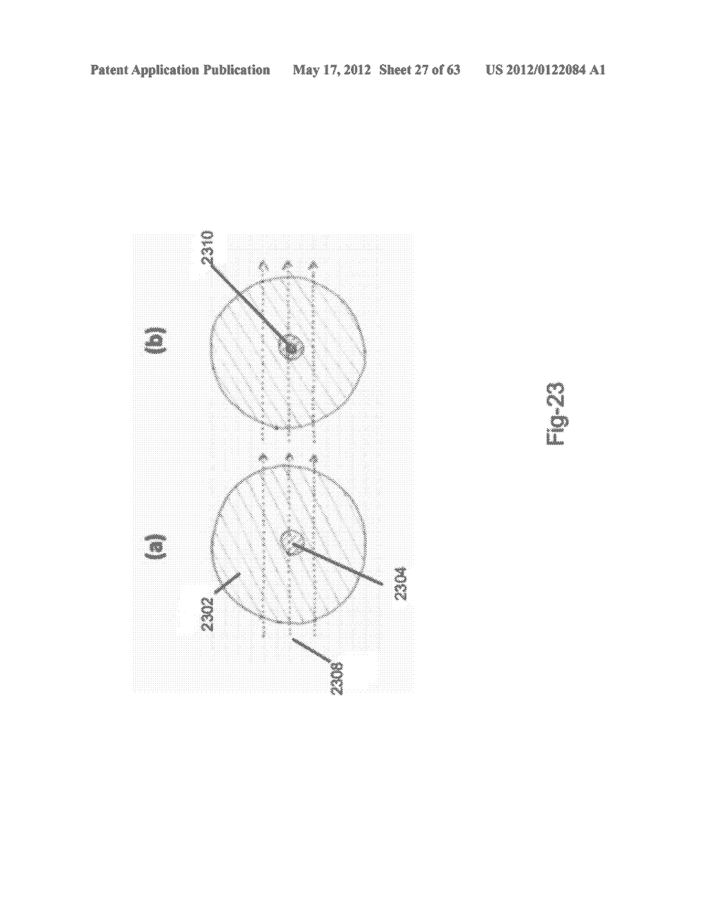 SYSTEM FOR IDENTIFYING AND SORTING LIVING CELLS - diagram, schematic, and image 28