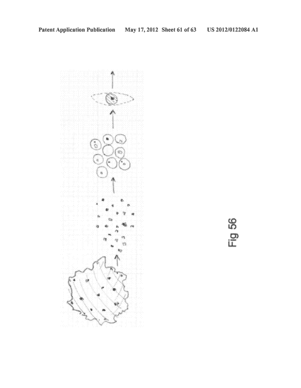 SYSTEM FOR IDENTIFYING AND SORTING LIVING CELLS - diagram, schematic, and image 62