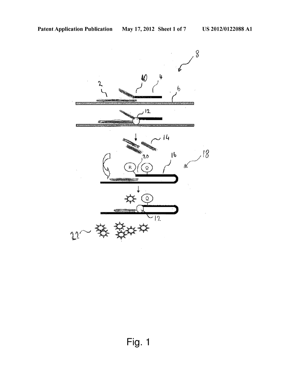 METHYLATION ASSAY - diagram, schematic, and image 02