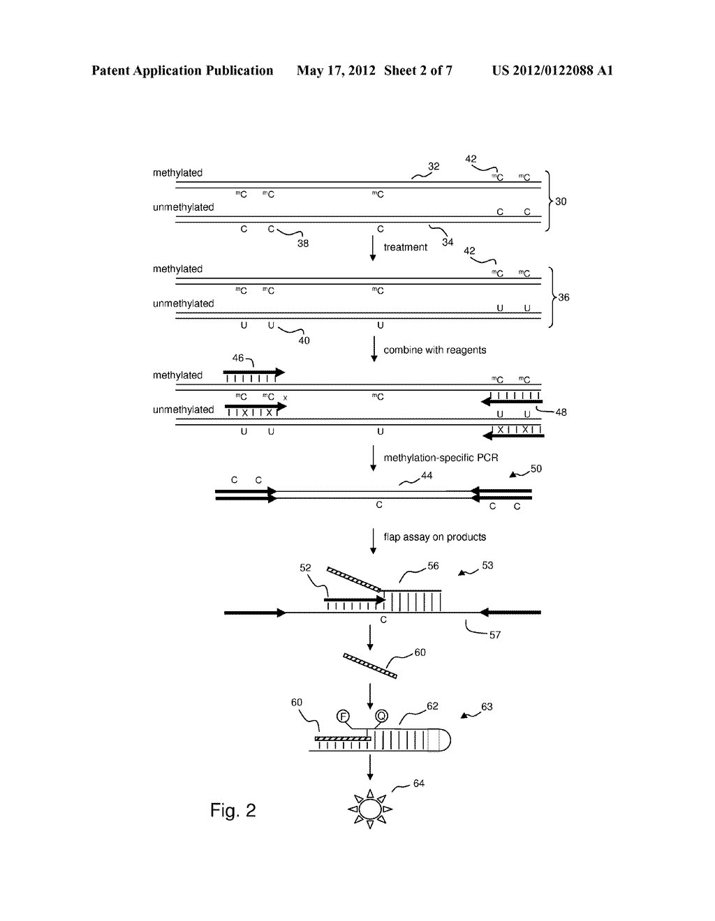 METHYLATION ASSAY - diagram, schematic, and image 03