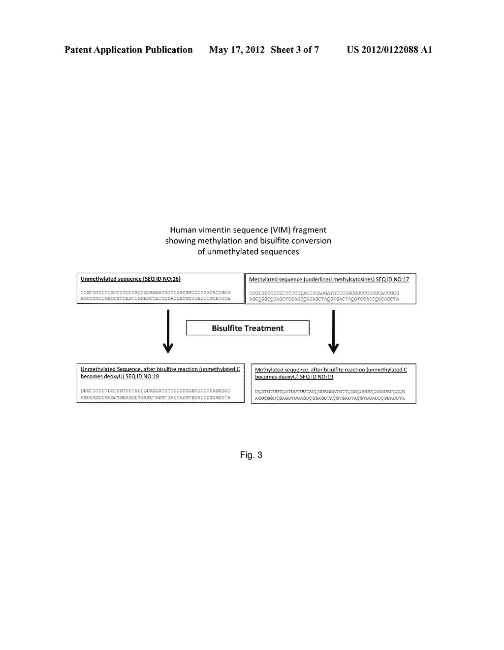 METHYLATION ASSAY - diagram, schematic, and image 04