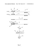 Mutation Detection Assay diagram and image