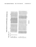 ANTIBODIES AND IMMUNOTOXINS THAT TARGET HUMAN GLYCOPROTEIN NMB diagram and image