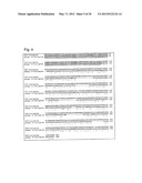 NEW BACTERIOPHAGE ADHESION PROTEINS diagram and image