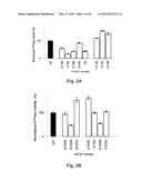 Protein Structural Biomarkers to Guide Targeted Chemotherapies diagram and image