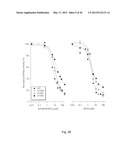 Protein Structural Biomarkers to Guide Targeted Chemotherapies diagram and image