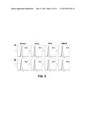 Self-immolative probes for enzyme activity detection diagram and image