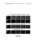 Self-immolative probes for enzyme activity detection diagram and image