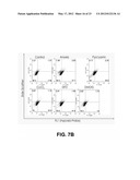 Self-immolative probes for enzyme activity detection diagram and image